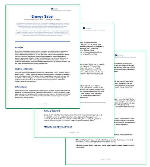 PitchIt business plan output